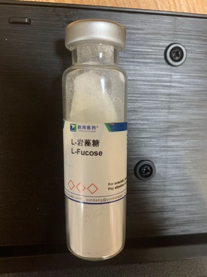 L-푸코스 CAS 2438-80-4 99.9% 흰색 분말 6-데옥시-L-갤락토스